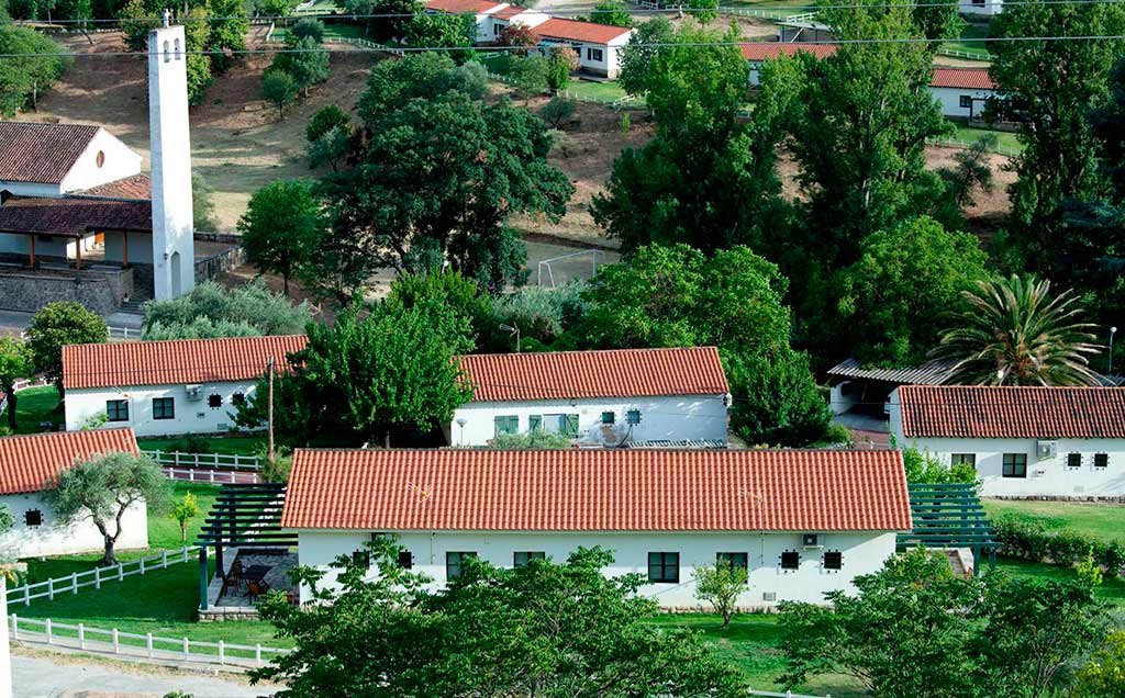 Campamentos de verano en inglés - Aldeaduero - Pueblo Inglés