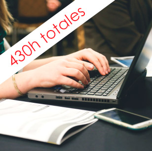 Máster en Inglés Profesional 430h Máster en Inglés Profesional 430h