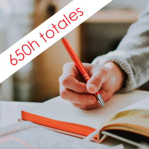Máster en Inglés Profesional 650h Máster en Inglés Profesional 650h